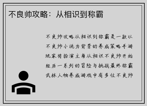 不良帅攻略：从相识到称霸